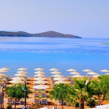 Villa Nergis Bitez Dış mekan fotoğraf