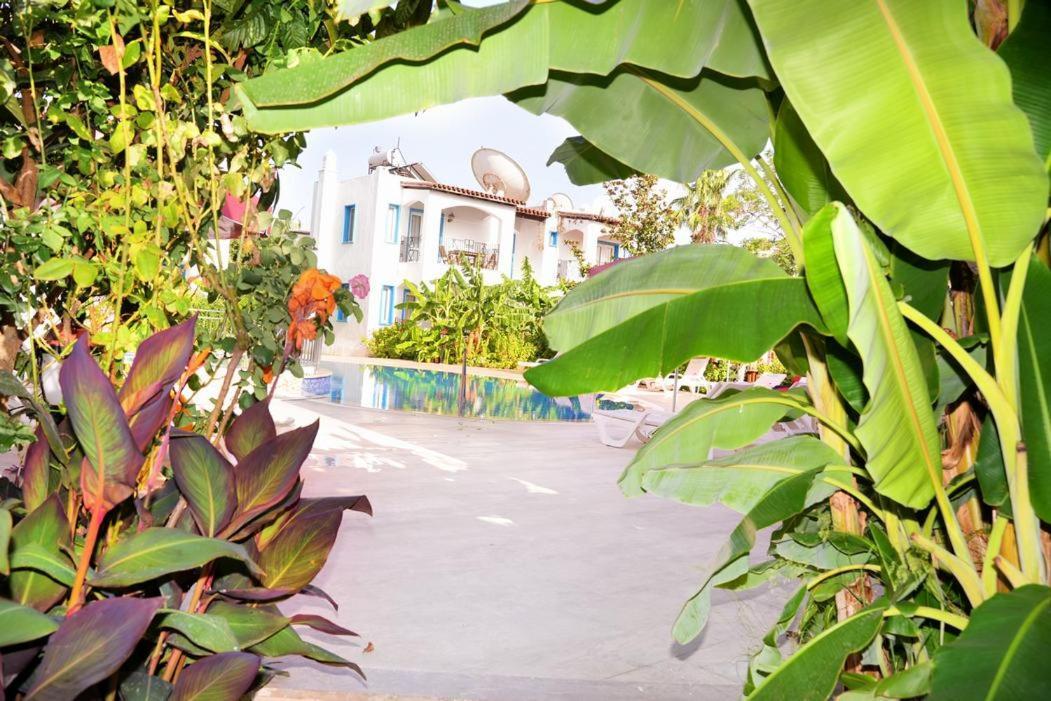 Villa Nergis Bitez Dış mekan fotoğraf