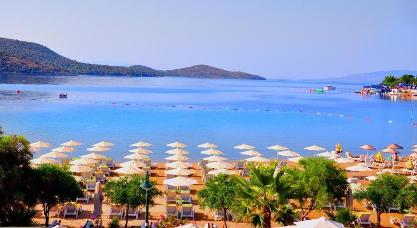 Villa Nergis Bitez Dış mekan fotoğraf